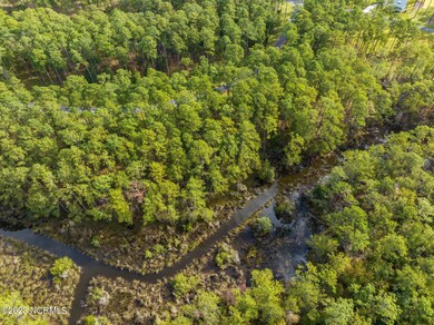 12-web-or-mls-DJI_0006