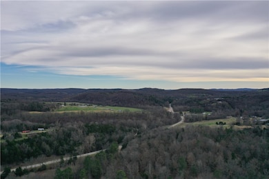 0 Falcon Ln, Berryville, AR 72616 - photo 7