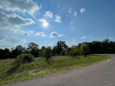 0 Napa unit 23027723, Rolla, MO 65401 - photo 7