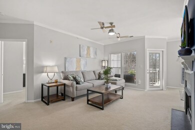 1519 N Point Dr unit 304, Reston, VA 20194 - photo 3