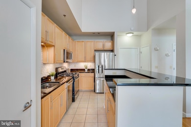 Silverton Condominiums, Silver Spring, MD 20910 - photo 6