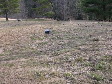 Developed Spring