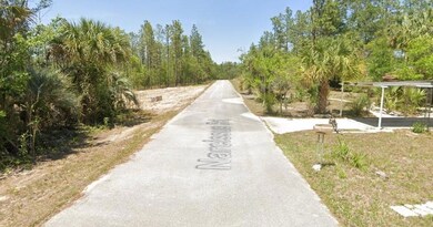 TBD Narcissus Rd, Dunnellon, FL 34431 - photo 5
