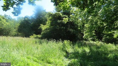 758 Swimley Rd, Berryville, VA 22611 - photo 7