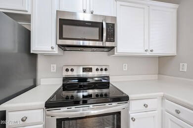 11309 E Camino St, Mesa, AZ 85207 - photo 7