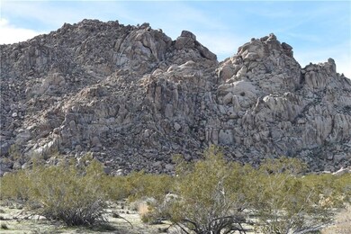 7157 Sunkist Rd, Joshua Tree, CA 92252 - photo 5