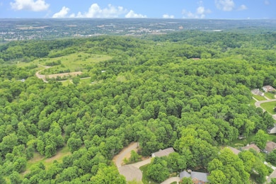 2-web-or-mls-DJI_0532