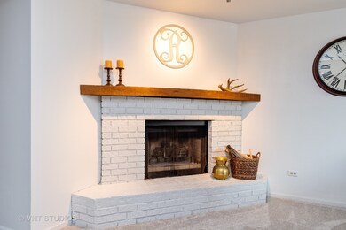 10S556 Book Rd, Naperville, IL 60564 - photo 3