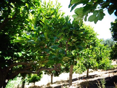 32829 Lilac unit 32829, Valley Center, CA 92082 - photo 6