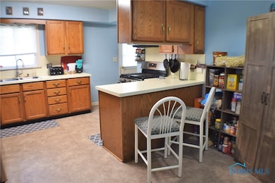 610 Riverside Dr, Woodville, OH 43469 - photo 3