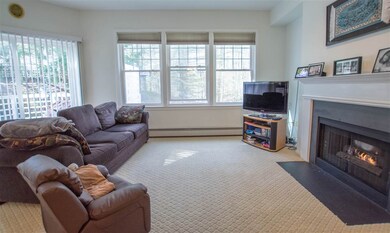 22 Larch Rd, South Burlington, VT 05403 - photo 6