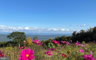 346 S Branch Mountain Rd, Moorefield, WV 26836 - photo 6