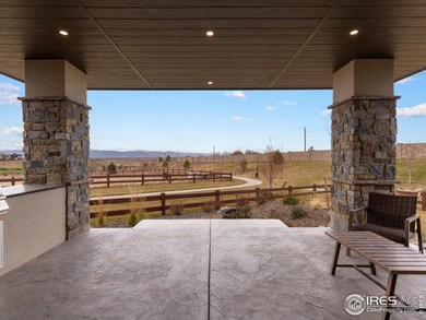 3650 Tall Grass Ct, Timnath, CO 80547 - photo 6