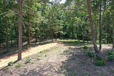 1901 New Era Ridge Rd, Linden, TN 37096 - photo 4