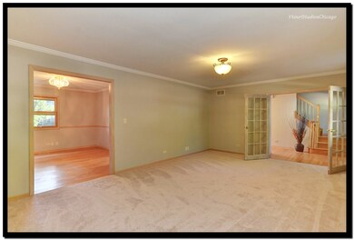 1728 Killdeer Dr, Naperville, IL 60565 - photo 2