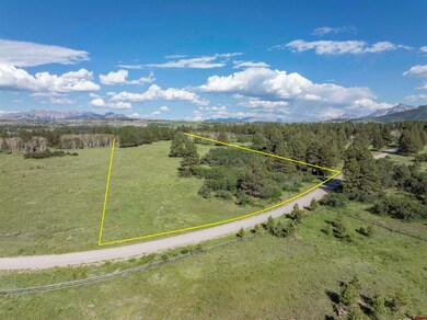 1151 Dr, Placerville, CO 81430 - photo 3