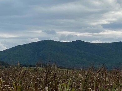 IMG_0153