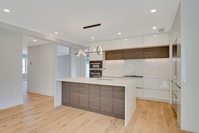 80 Verndale St unit 80, Brookline, MA 02446 - photo 6