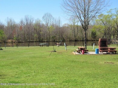 backyard woodview