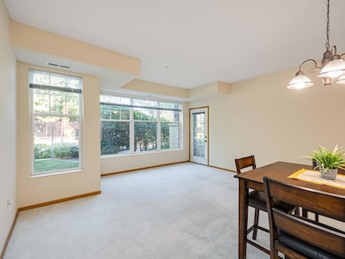 1900 Rush Lake Trail unit 112, New Brighton, MN 55112 - photo 5