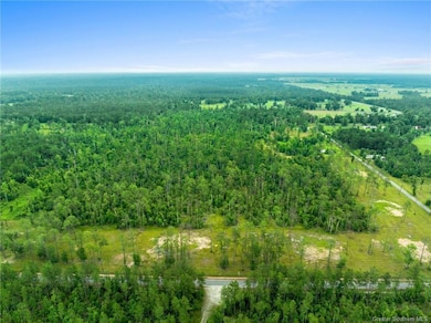 0 Duke Hollingsworth Rd Tract 3, Ragley, LA 70657 - photo 3