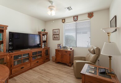 Den with Ceramic Plank Flooring