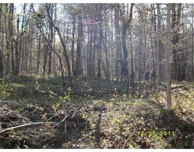 Land/Lot.