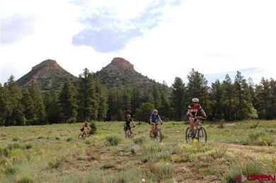 0 Twin Buttes Ave unit 723535, Durango, CO 81301 - photo 4