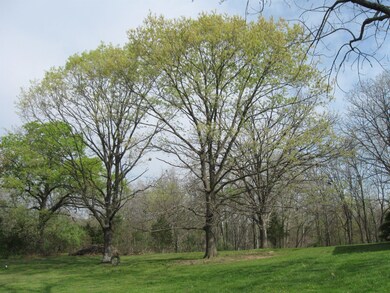 wooded setting