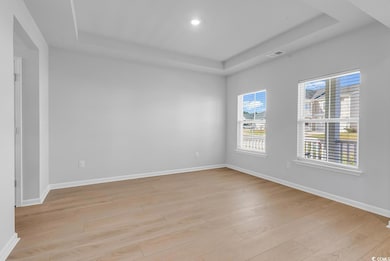 Empty room featuring a tray ceiling and light wood-style floors