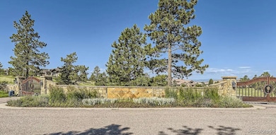 10873 Tundra Top Dr, Parker, CO 80134 - photo 3