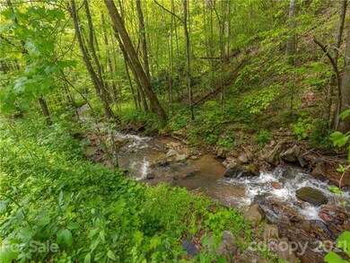TBD Fox Creek Rd unit Lot 10, Burnsville, NC 28714 - photo 7
