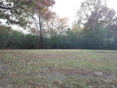 123 Moore Ln, Mena, AR 71953 - photo 5