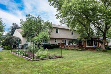 Rear Yard