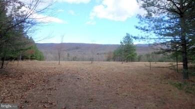 Lot 78 Trough View Rd, Old Fields, WV 26836 - photo 4