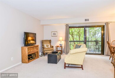 216 Park Terrace Ct SE unit 96, Vienna, VA 22180 - photo 3