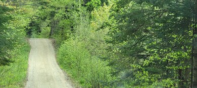 Lot 19 Scrag Mountain Rd, Sugar Hill, NH 03586 - photo 4