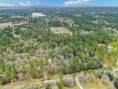 0 Croger, Magnolia, TX 77354 - photo 2