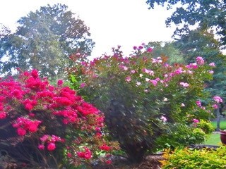 1315 Dougherty Dr, Morristown, TN 37814 - photo 5