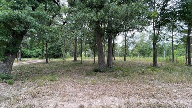 0000 Roberts Cemetary Rd, Hockley, TX 77447 - photo 3