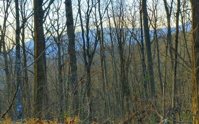 Additional View