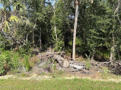 View of undeveloped land