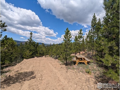 2182 Osage Trail, Red Feather Lakes, CO 80545 - photo 5