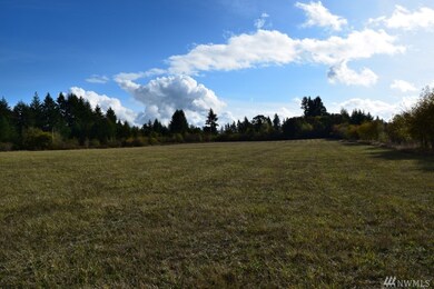 0 Drews Prairie Rd, Toledo, WA 98591 - photo 3