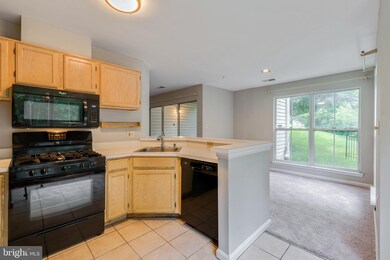 3404 Bitterwood Place unit 1002, Laurel, MD 20724 - photo 4