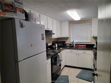 1508 Lemon Tree Ln, College Station, TX 77840 - photo 3