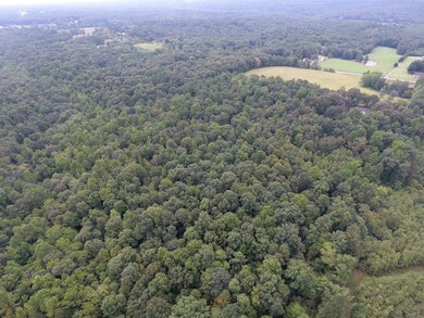 0 Pond Ln, Tennessee Ridge, TN 37178 - photo 5