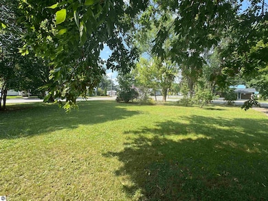 222 N Main, Lake City, MI 49651 - photo 2