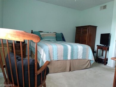 Spacious Master bedroom with neutral carpet and wa
