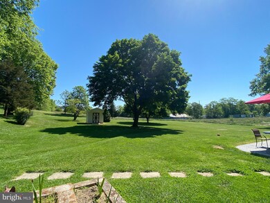 372 Junction Rd, Strasburg, VA 22657 - photo 4